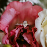 ADALET | Pavé Solitaire Oval Shape Diamond Ring in Platinum