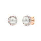 ALARA | Akoya Pearl and Diamond Halo Studs in Rose Gold (0.38ct tw.)