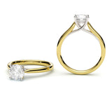 DIANA | Cathedral Solitaire Round Brilliant Diamond Ring in 18ct Yellow & White Gold