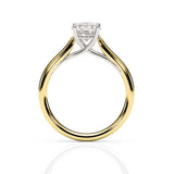 DIANA | Cathedral Solitaire Round Brilliant Diamond Ring in Yellow & White Gold