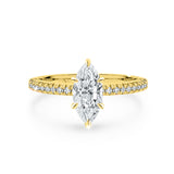 KIMBERLY | French Pavé Solitaire Marquise Diamond Ring in Yellow Gold