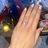 AVA | French Pavé Halo Oval Shape Diamond Ring in White Gold