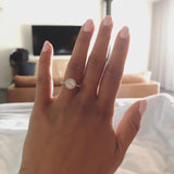 AVA | French Pavé Halo Round Brilliant Diamond Ring in White Gold