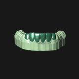 Teeth model with green teeth on a clear background