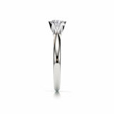 ABI | Six Claw Solitaire Round Brilliant Diamond Ring in Platinum