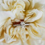ADALET | Pavé Solitaire Oval Shape Diamond Ring in White Gold
