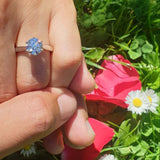 ZIA | Six Claw Solitaire Round Brilliant Diamond Ring in White Gold