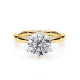 TIFFANY | Hidden Halo Round Brilliant Diamond Ring in Yellow & White Gold