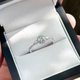 CUSTOM | Three Stone Halo in 18ct White Gold